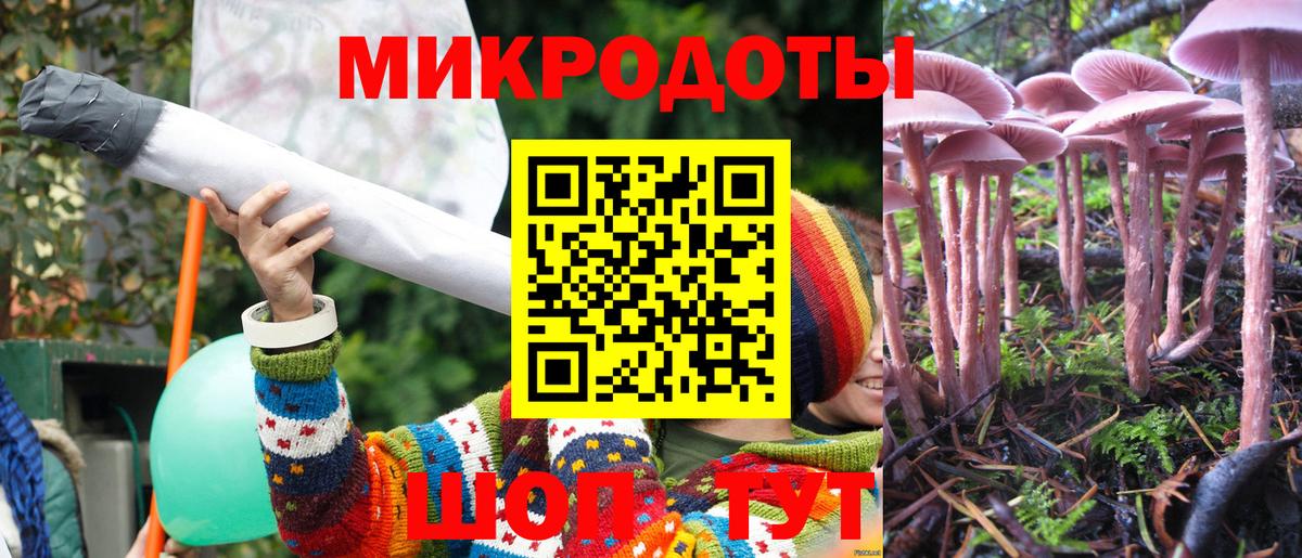 Долгопрудный  Галлюциногенные грибы мицелий  закладка  Псилоцибиновые грибы GOLDEN TEACHER  Вход с VPN 